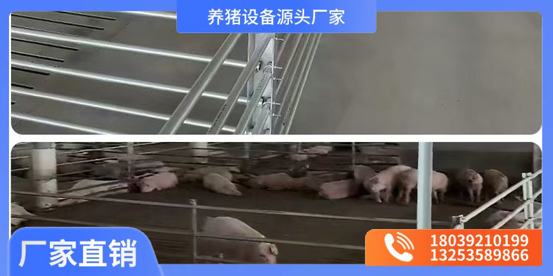 黄石市料塔料线养猪设备 - 厂家